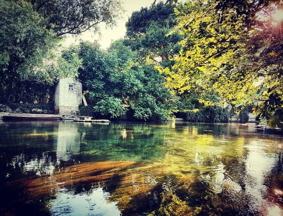 Mas Et Gite De La Picholine LʼIsle-sur-la-Sorgue Exteriér fotografie
